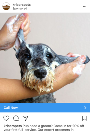 kriser-pets-insta-ad.png